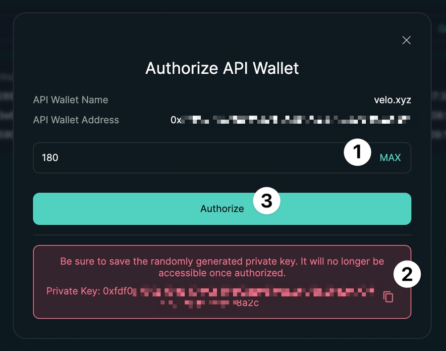 Authorize the API wallet in the popup